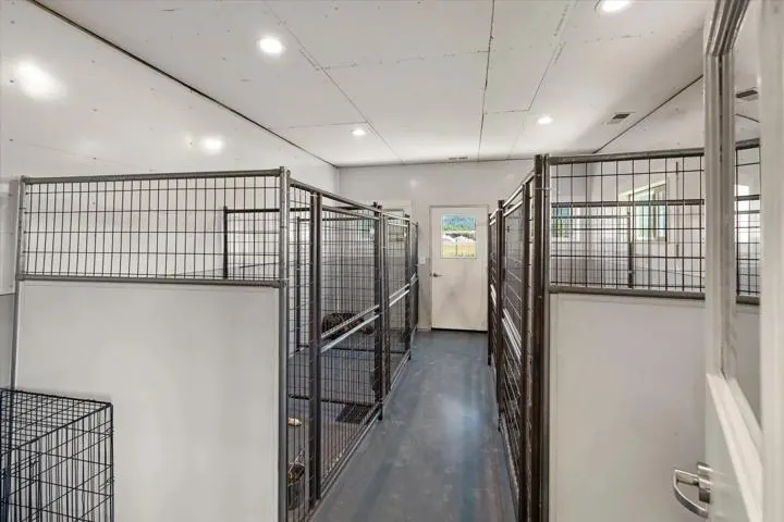 A clean row of kennels in one of the ranch&rsquo;s overnight rooms.